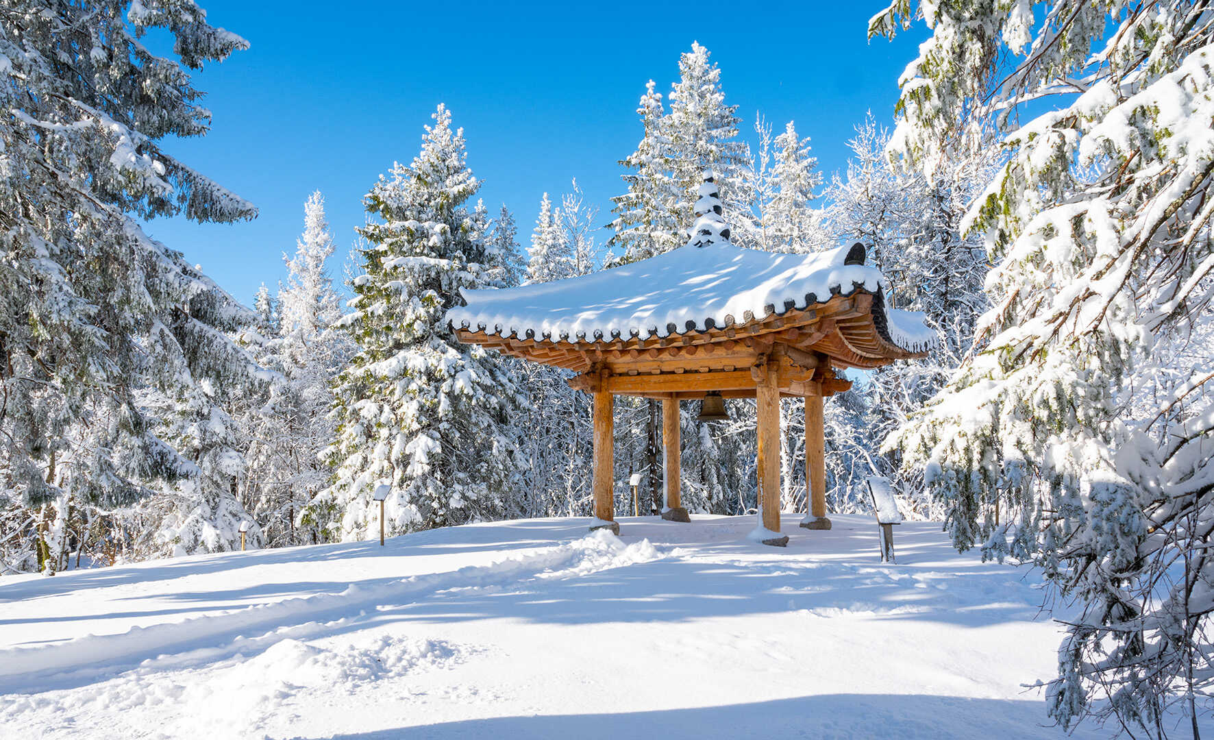 Naturområde ved Voksenåsen om vinteren