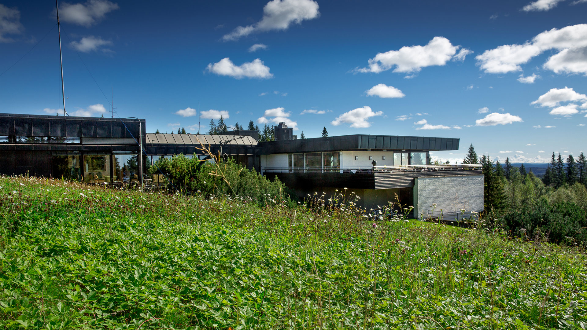 Voksenåsen eksteriør sommer