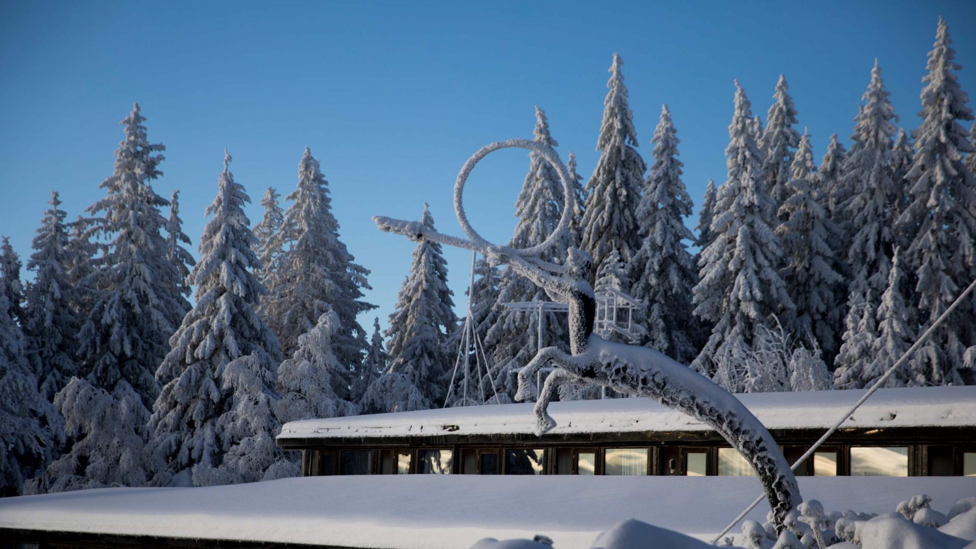 Vinteromgivelser på Vokesnåsen