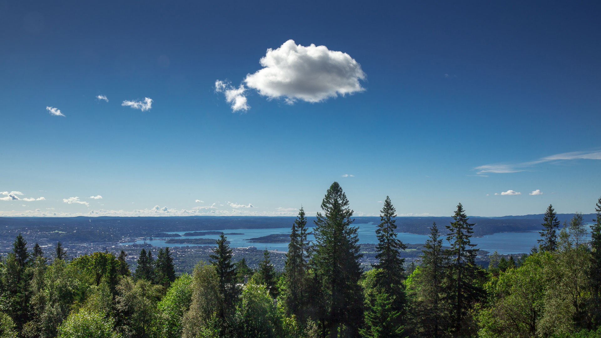 Voksenåsen utsikt